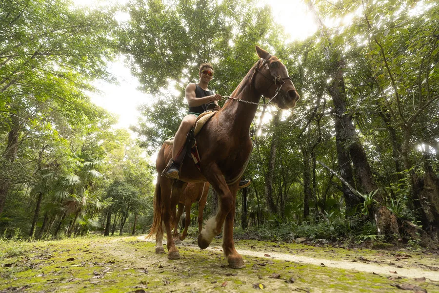 Experience Zipline Tours Near Me