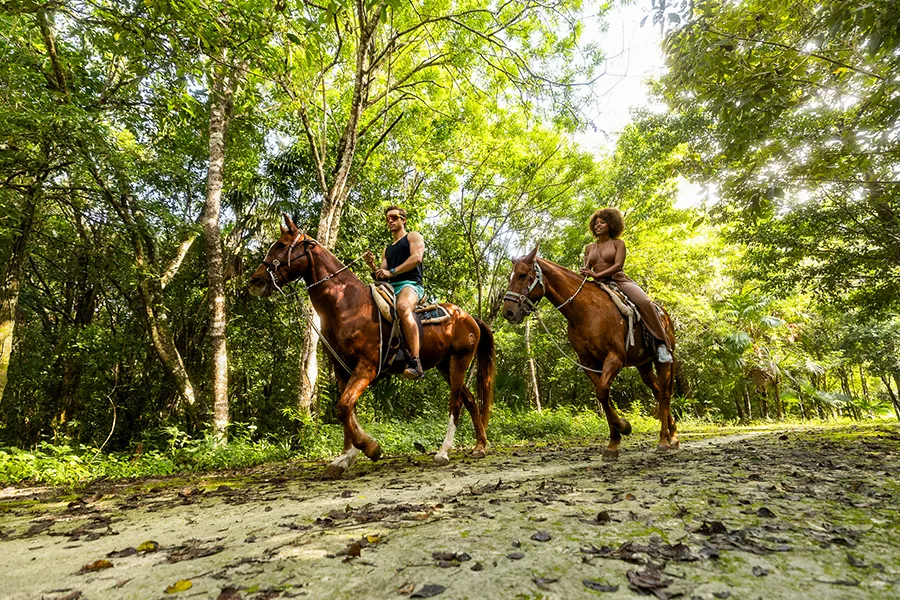 Horseback Trail Rides