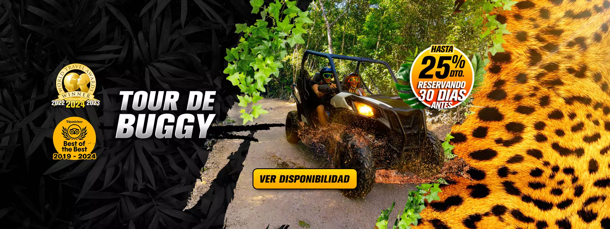 Extreme Buggy
